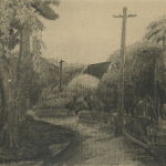 Read more about the article 【名單之後】園藝學家的凝視：祝彥熊眼底的植物園風光