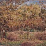 Read more about the article 秋日風景