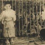 Read more about the article 【名單之後】寄予南方的溫柔：鮫島梓與畫布上的童心