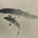Read more about the article 【名單之後】畫水的人：東洋畫家森白甫的水邊創作